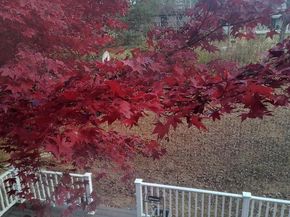 947 Caledonia Street, Philadelphia PA 19128