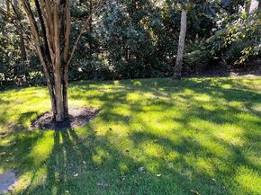 1239 Daleview Drive, Mclean VA 22102