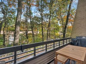 11604 Ivystone Court 06, Reston VA 20191