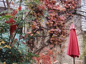 4 Rainey Court, Philadelphia PA 19103