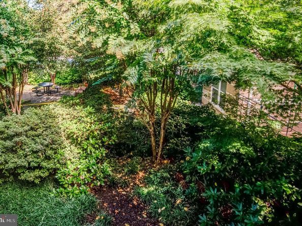 12000 Market Street 218, Reston VA 20190
