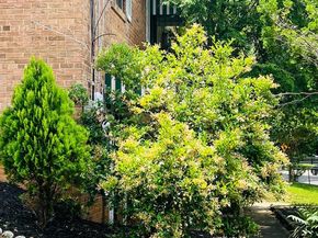 4901 Fitch Place NE, Washington DC 20019
