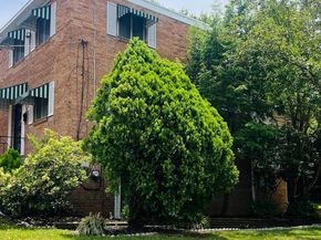 4901 Fitch Place NE, Washington DC 20019