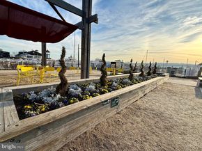 216 N Pitt Street, Alexandria VA 22314