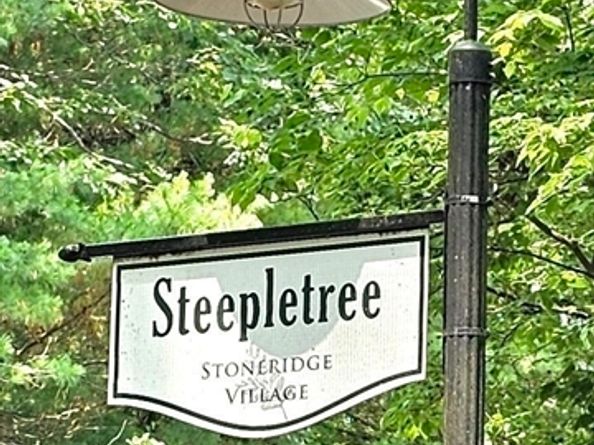 6 Steepletree Ln 6, Wayland MA 01778
