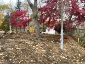 49 Staniford Street, Newton MA 02466