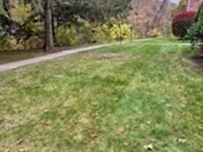 346 Neponset St D, Canton MA 02021