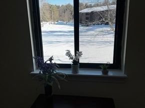 15 Davis Rd B11, Acton MA 01720