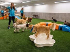 240 Devonshire Street 5111, Boston MA 02110