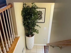 73 Sophia Dr, Worcester MA 01607