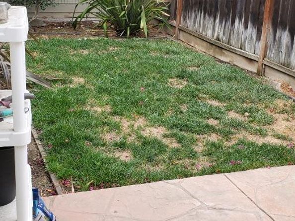 59 S 11th Street, San Jose CA 95112