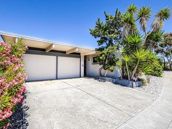 275 Puffin Court