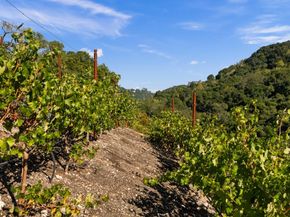 17435 Phillips Avenue, Los Gatos CA 95030