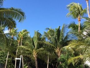 Undisclosed Address #A11883714, Miami FL 33138