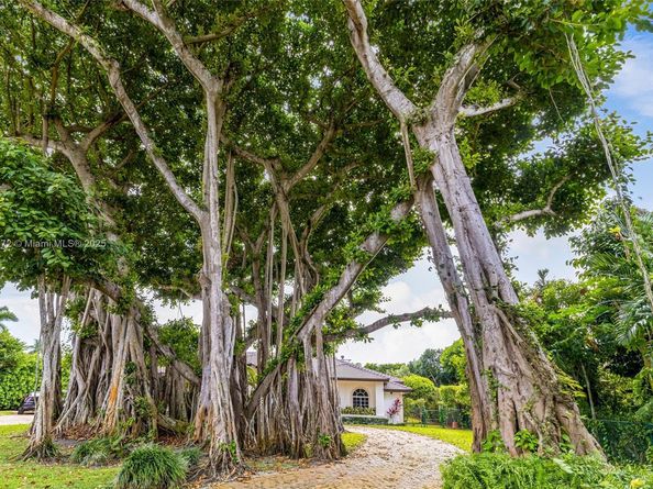 7250 SW 99th St, Pinecrest FL 33156