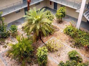 1800 SW 81st Ave 1411, North Lauderdale FL 33068