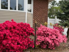 35 Hicks Avenue, Syosset NY 11791