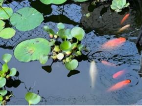 35 Hicks Avenue, Syosset NY 11791