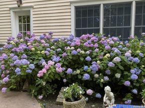 602A Twin Hills Court, Northport NY 11768