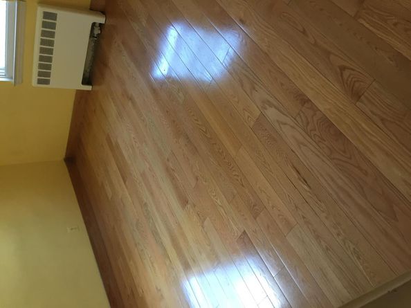 2443 Bouck Avenue, Bronx NY 10469