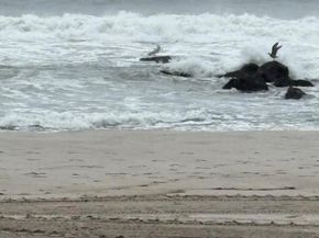 223 E Broadway, Long Beach NY 11561