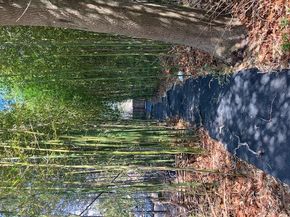 9 Walker Court, East Quogue NY 11942