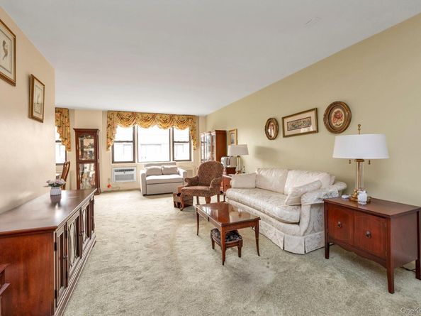 3 Birchwood Court 5G, Mineola NY 11501