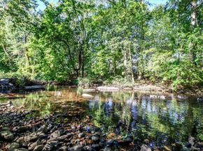 19 Riverside Avenue, Stamford CT 06905