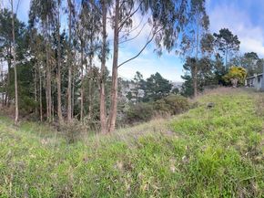 3392 Fleetwood Drive, San Bruno CA 94066