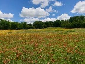 8841  Hidden Hill Drive , Fort Worth Texas 76179