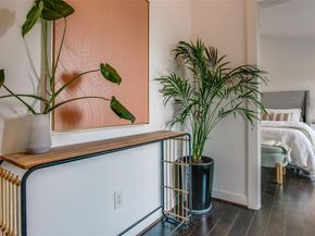603  Finley Court , Dallas Texas 75208