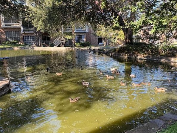 3550  Country Square Drive  505, Carrollton Texas 75006