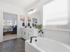 4420  Minnow Cove Road , Oak Point Texas 75068