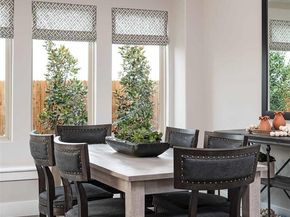 7260  Dragonfly Lane , Little Elm Texas 76227