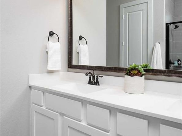 7260  Dragonfly Lane , Little Elm Texas 76227