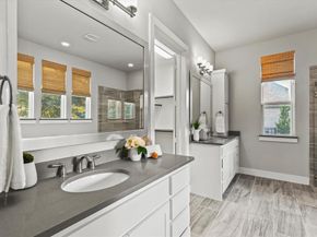 1115  Sewanee Drive , Allen Texas 75013
