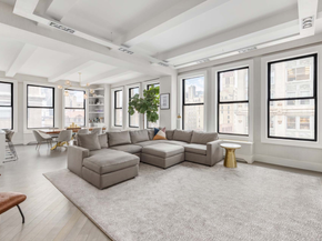 260 Park Avenue S 9BC, New York NY 10003