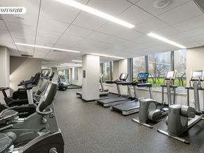 425 Main Street 9T, New York NY 10044