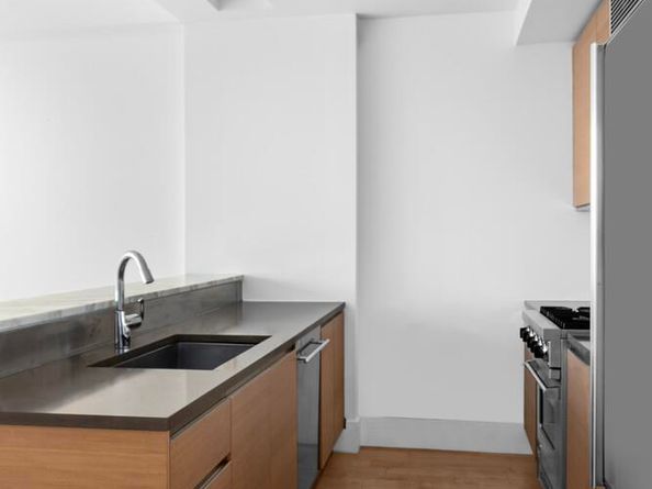 20 Bayard Street 11D, Brooklyn NY 11211