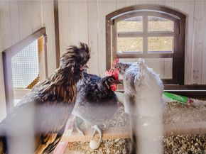 7940 Hooker Street, Westminster CO 80030