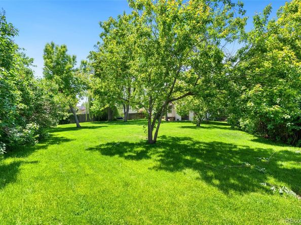 6544 Alkire Court, Arvada CO 80004