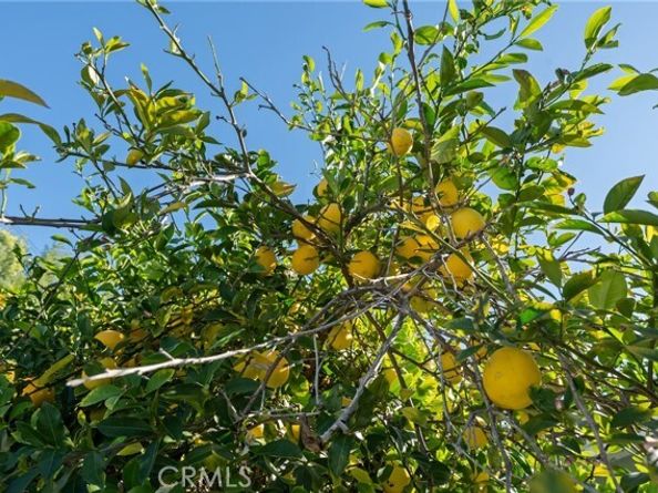 22727 Collins, Woodland Hills (los Angeles) CA 91367