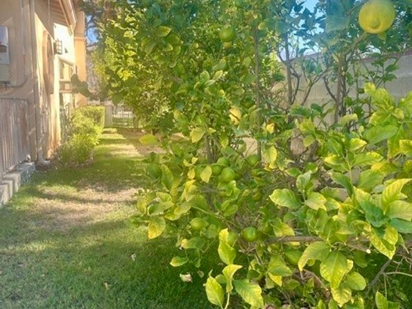 3598 E Del Mar, Pasadena CA 91107