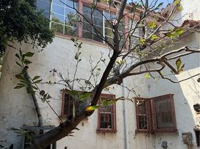 7830 S Victoria, Los Angeles CA 90043
