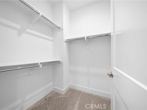 230 collino, Irvine CA 92602