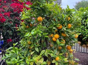 2070 Tiffany Drive, Oceanside CA 92056