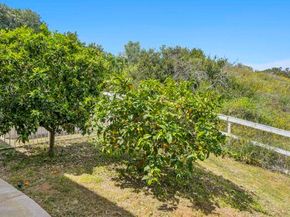 970 Dove Run Rd, Encinitas CA 92024