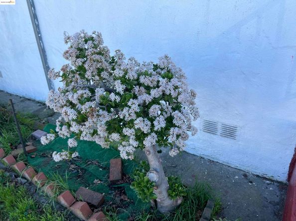 3486 39th Ave, Oakland CA 94619