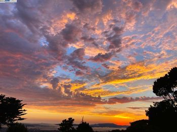 7403 Skyline Blvd