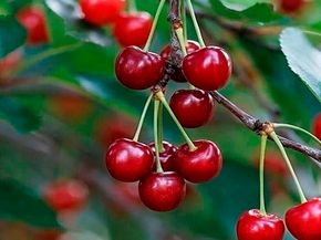 362 Summit Ct, Pinole CA 94564